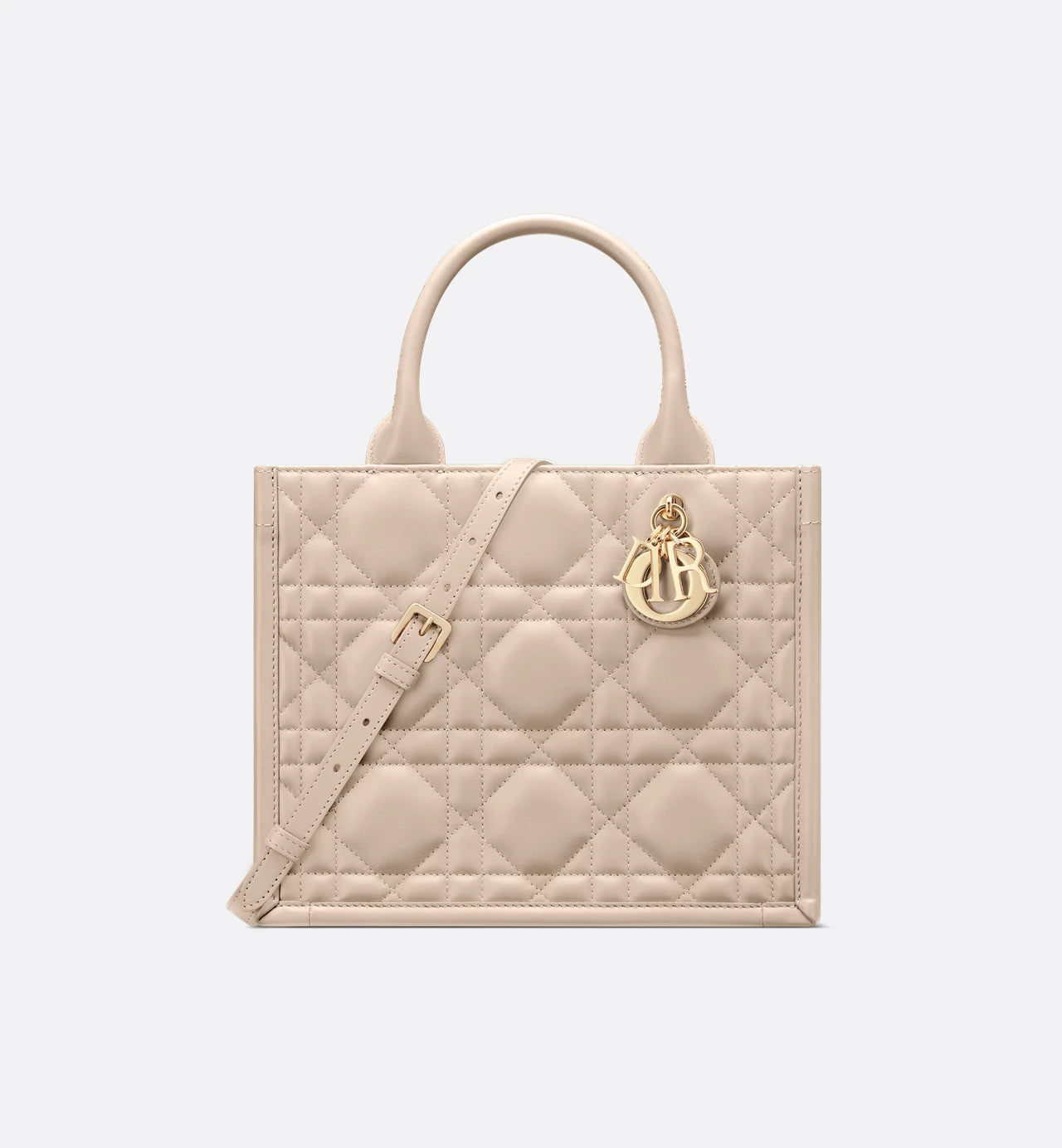 Borsa piccola Dior Book Tote