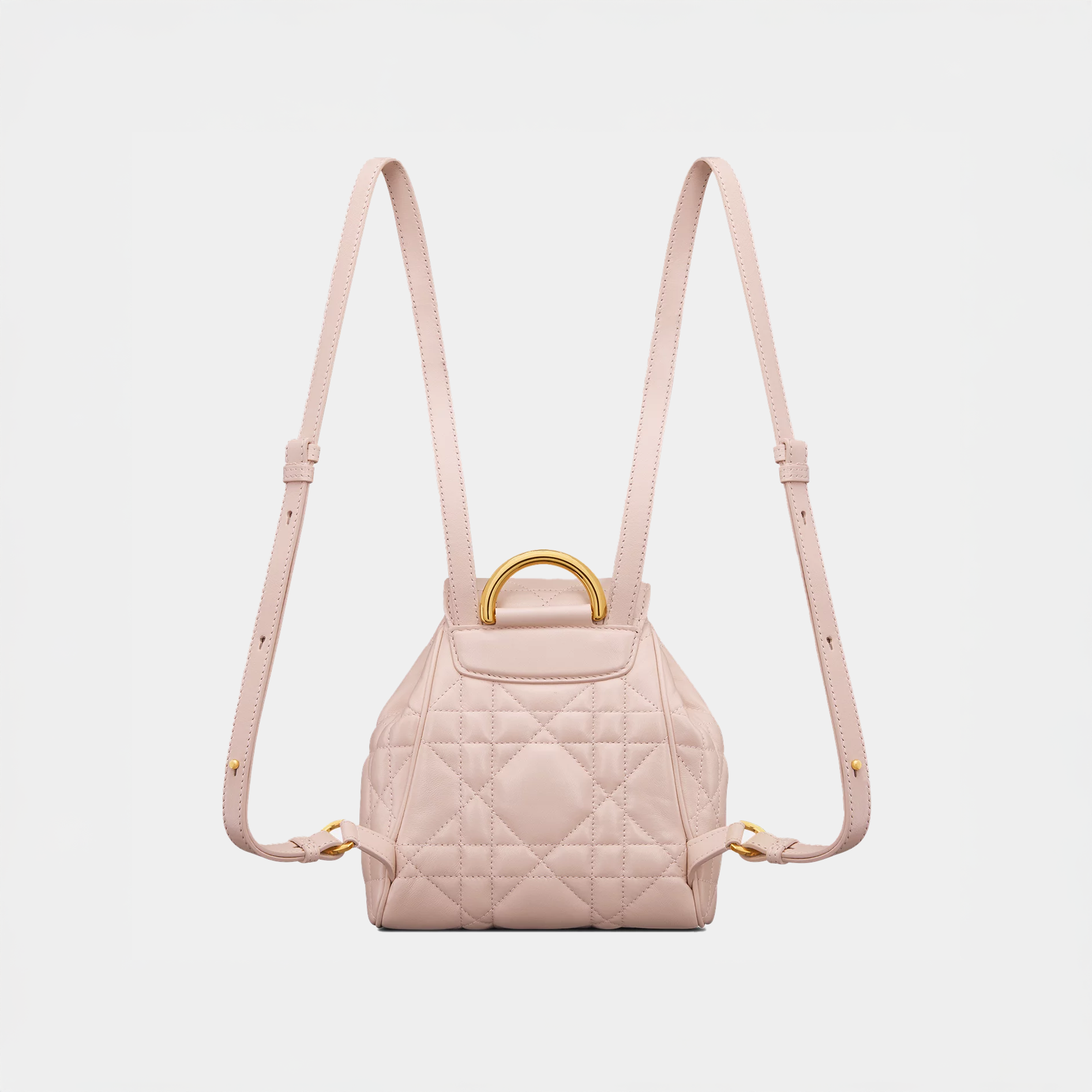 Zaino piccolo Dior caro