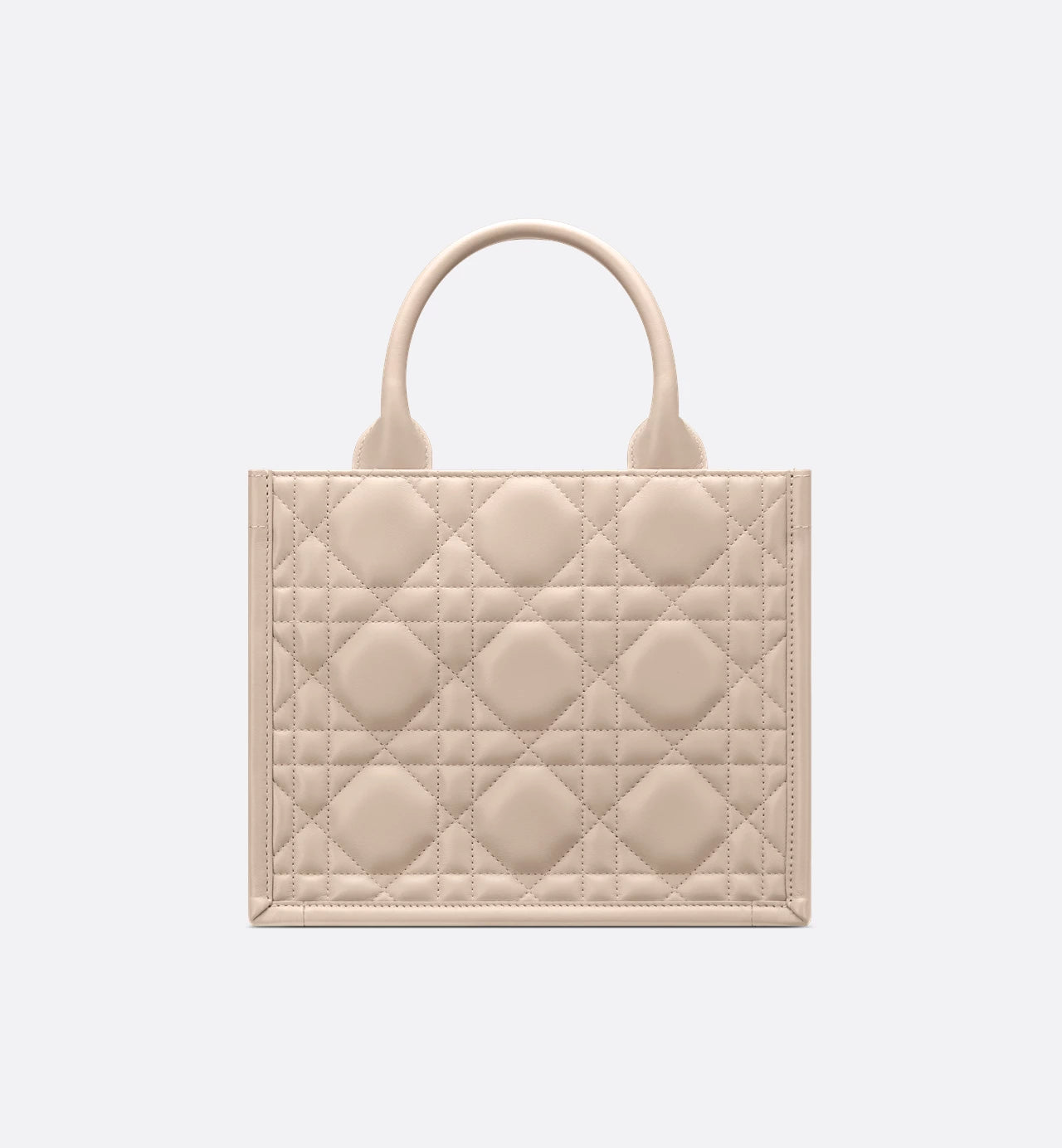 Borsa piccola Dior Book Tote