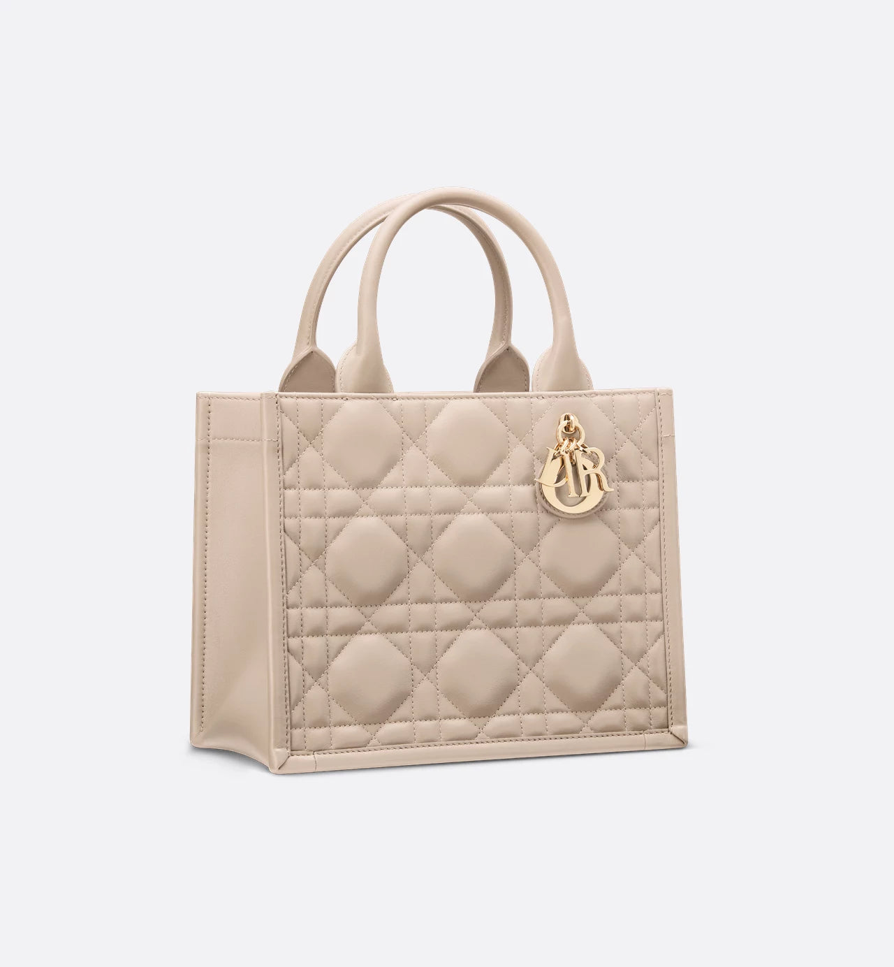 Borsa piccola Dior Book Tote