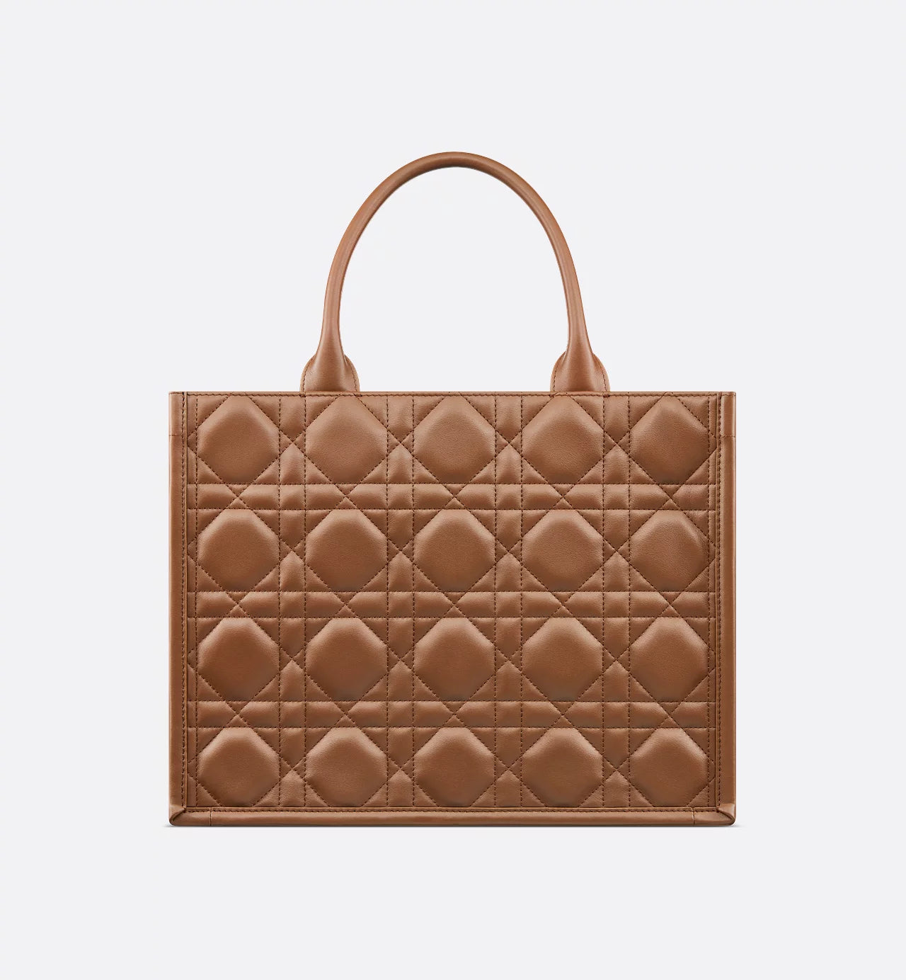 Borsa media Dior Book Tote