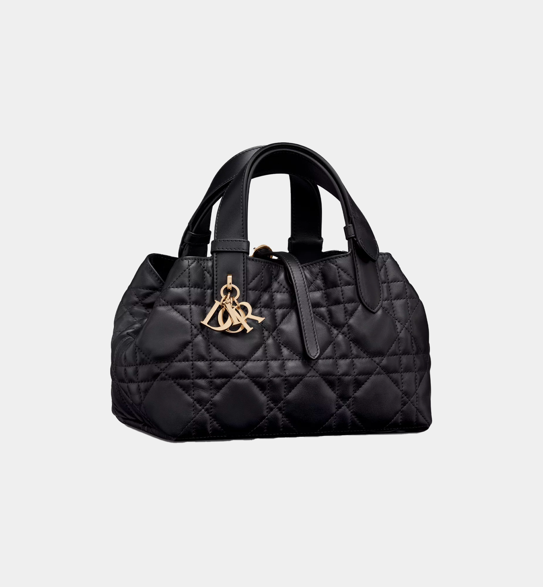 Borsa piccola Dior Toujours