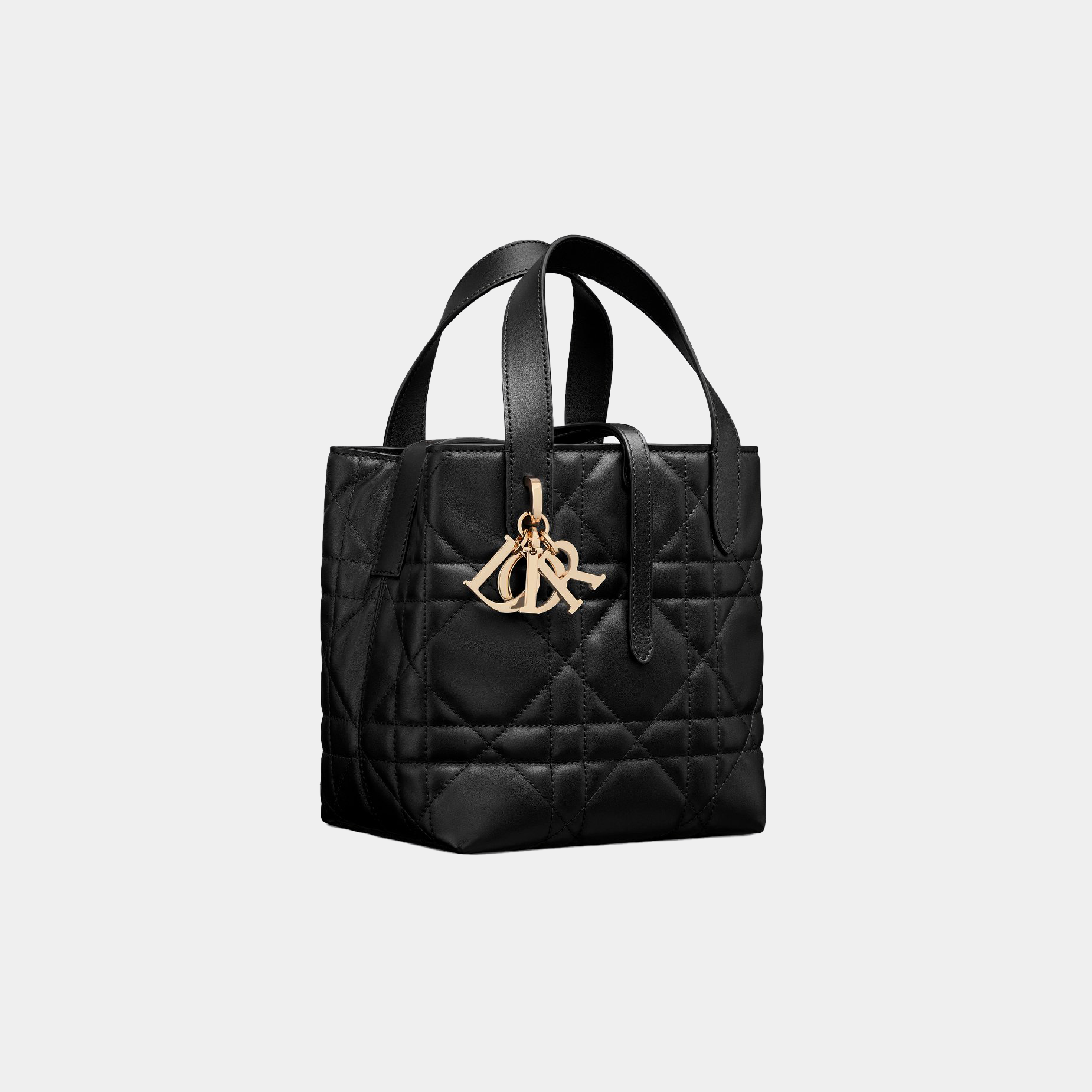 Borsa Dior tote verticale piccola Toujours