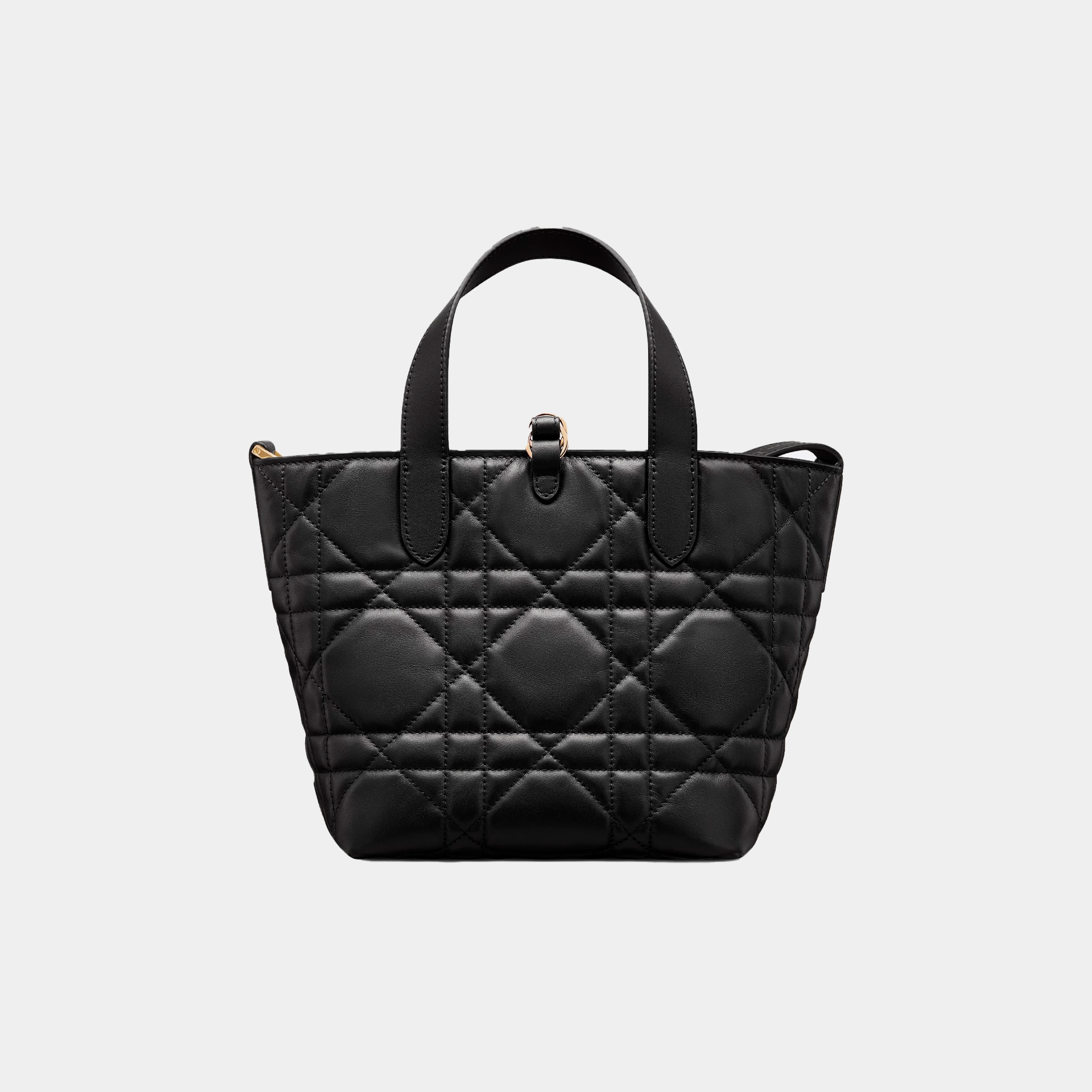Borsa Dior tote verticale piccola Toujours