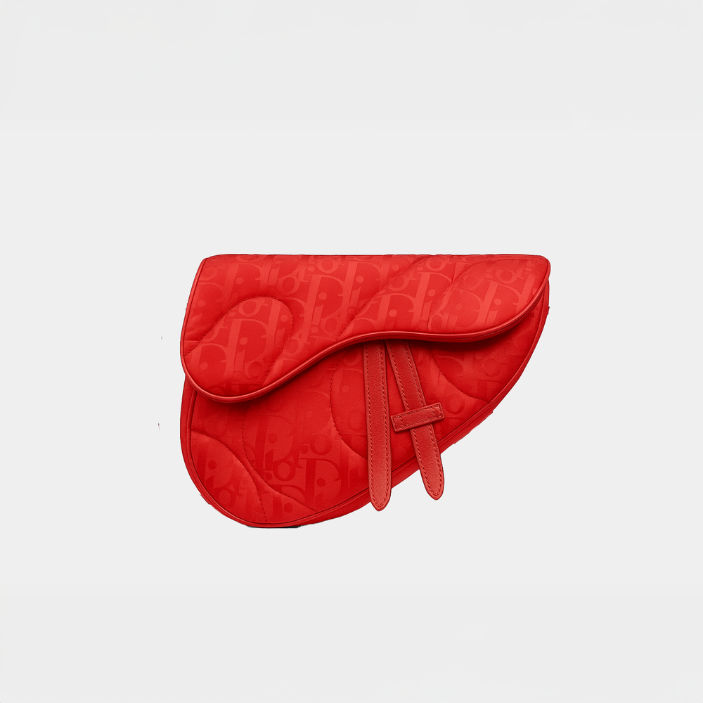 Dior saddle x erl saddle bag red - MS Luxury