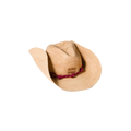 Cappello cowboy raffia
