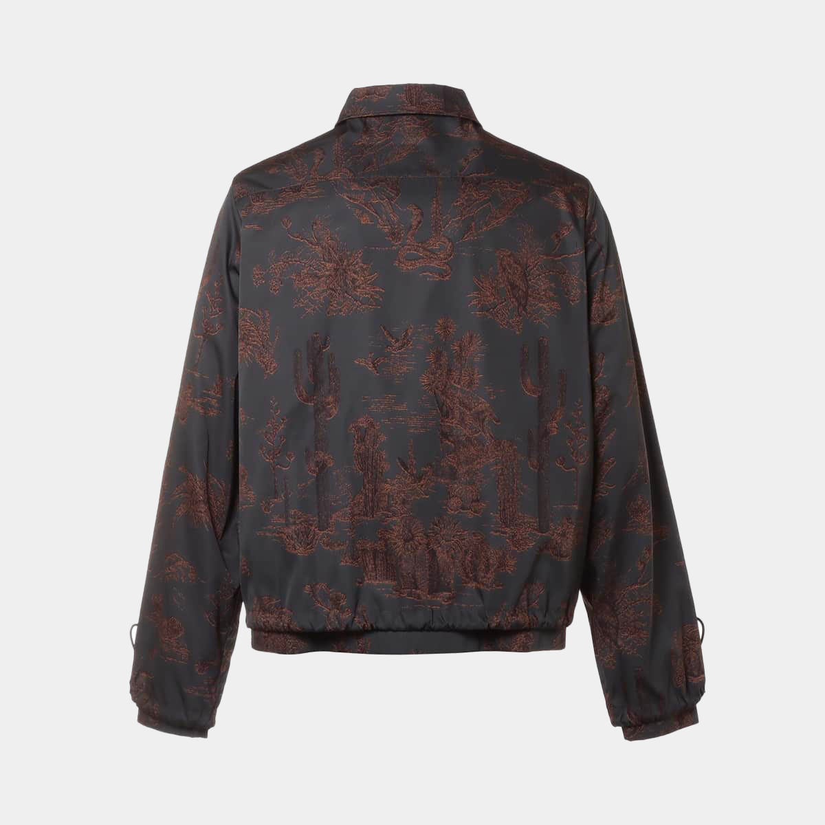 Dior x Travis Scott