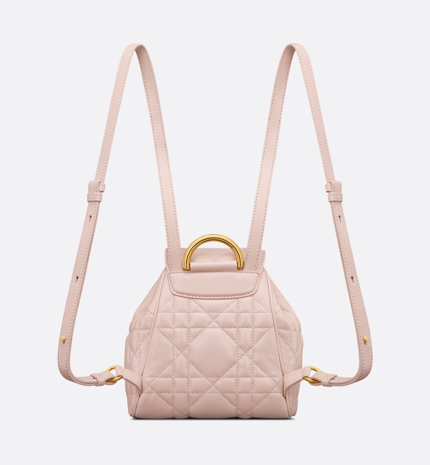 Zaino piccolo Dior caro