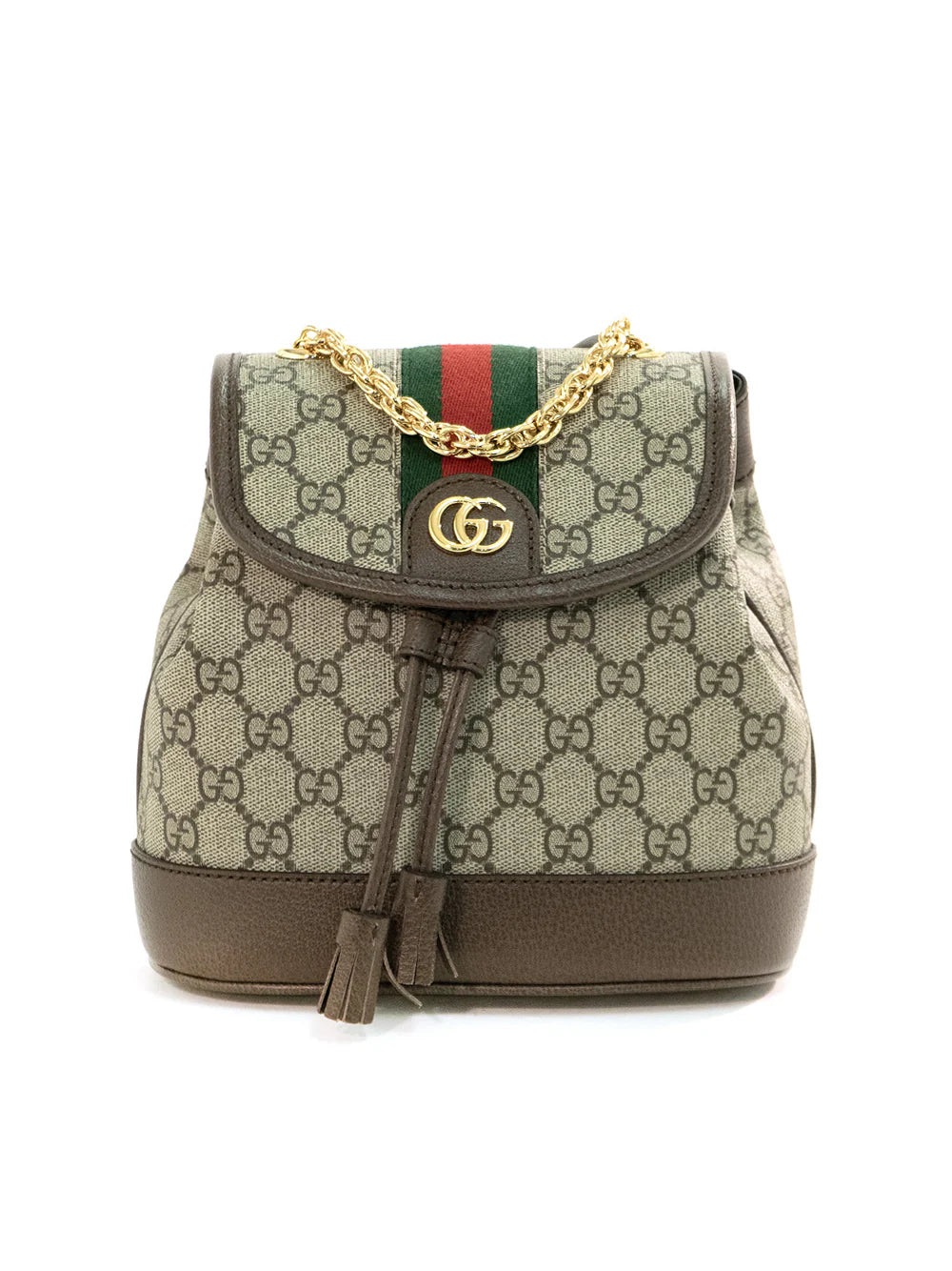 Gucci backpack ophidia