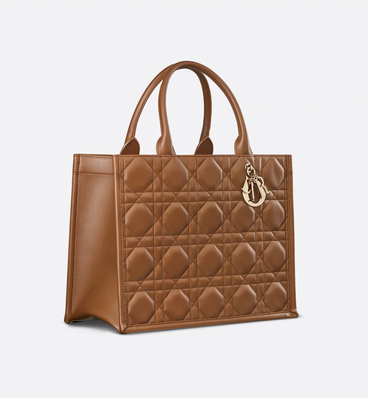 Borsa media Dior Book Tote